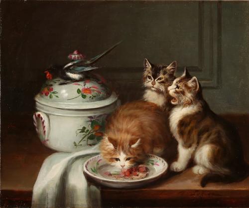  'Kittens and magpie'