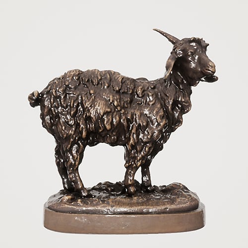  'Goat'